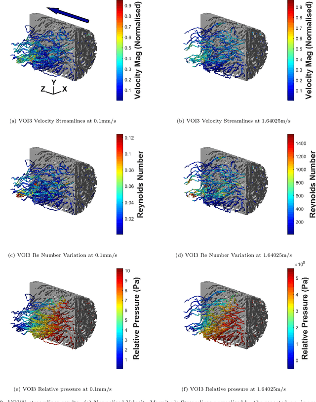 Figure 3 for On the characteristics of natural hydraulic dampers: An image-based approach to study the fluid flow behaviour inside the human meniscal tissue