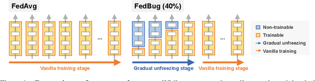Figure 1 for FedBug: A Bottom-Up Gradual Unfreezing Framework for Federated Learning