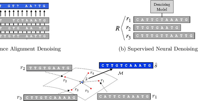 Figure 1 for Blind Biological Sequence Denoising with Self-Supervised Set Learning