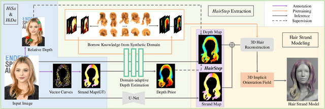 Figure 2 for HairStep: Transfer Synthetic to Real Using Strand and Depth Maps for Single-View 3D Hair Modeling
