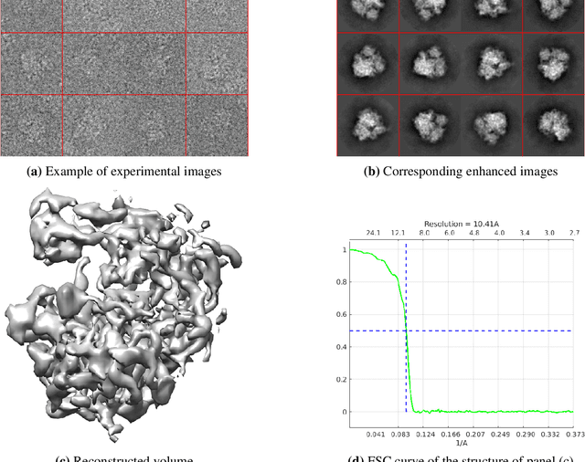 Figure 1 for Signal enhancement for two-dimensional cryo-EM data processing