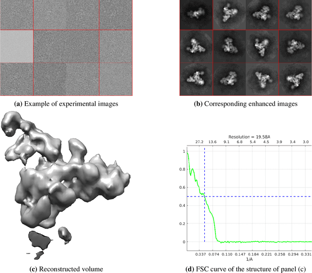 Figure 3 for Signal enhancement for two-dimensional cryo-EM data processing