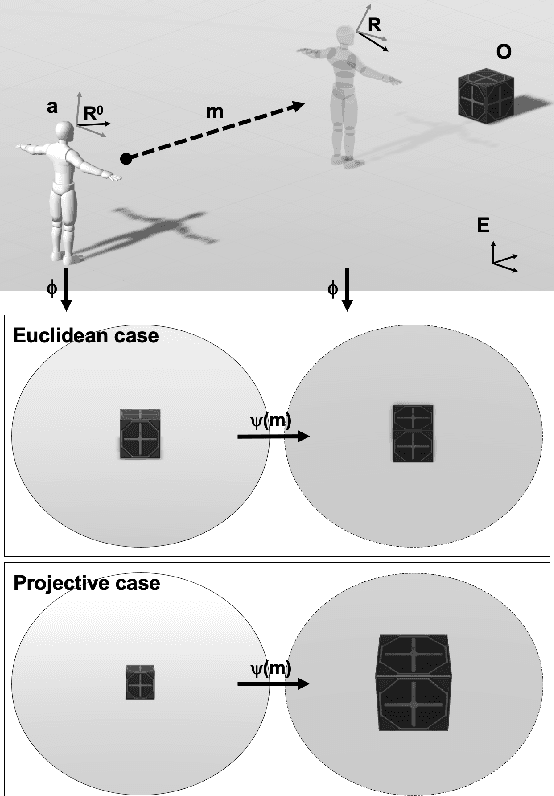 Figure 1 for Action of the Euclidean versus Projective group on an agent's internal space in curiosity driven exploration: a formal analysis
