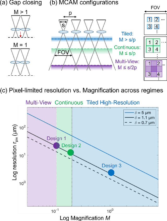 Figure 3 for Multi-scale gigapixel microscopy using a multi-camera array microscope