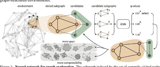 Figure 1 for Intrinsically motivated graph exploration using network theories of human curiosity