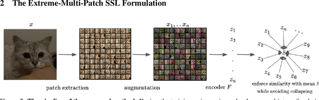 Figure 3 for EMP-SSL: Towards Self-Supervised Learning in One Training Epoch