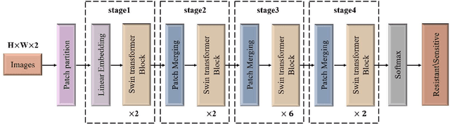 Figure 4 for An attention-based deep learning network for predicting Platinum resistance in ovarian cancer