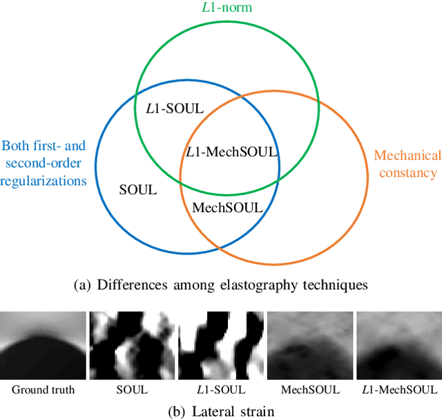 Figure 1 for Exploiting Mechanics-Based Priors for Lateral Displacement Estimation in Ultrasound Elastography