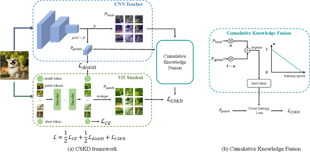 Figure 1 for Cumulative Spatial Knowledge Distillation for Vision Transformers