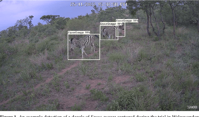 Figure 1 for Empowering Wildlife Guardians: An Equitable Digital Stewardship and Reward System for Biodiversity Conservation using Deep Learning and 3/4G Camera Traps