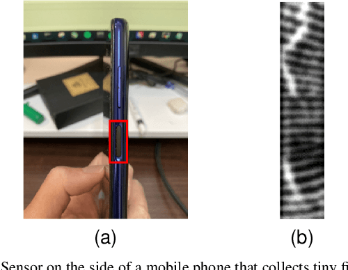 Figure 1 for PGT-Net: Progressive Guided Multi-task Neural Network for Small-area Wet Fingerprint Denoising and Recognition
