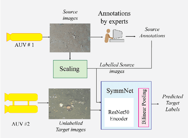 Figure 1 for Improved Benthic Classification using Resolution Scaling and SymmNet Unsupervised Domain Adaptation