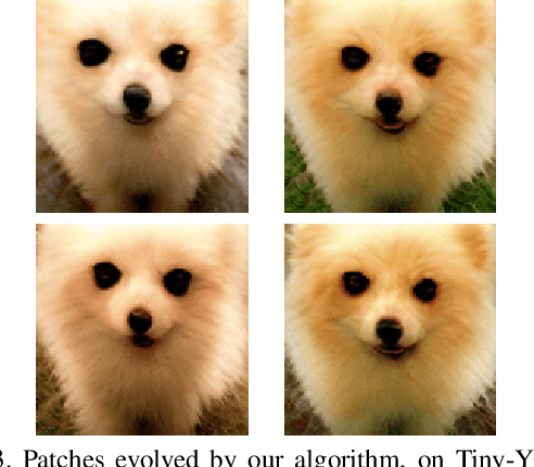 Figure 4 for Patch of Invisibility: Naturalistic Black-Box Adversarial Attacks on Object Detectors