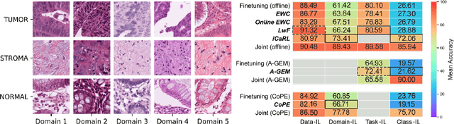 Figure 1 for Continual Learning for Tumor Classification in Histopathology Images
