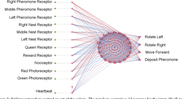 Figure 3 for Emergent communication enhances foraging behaviour in evolved swarms controlled by Spiking Neural Networks