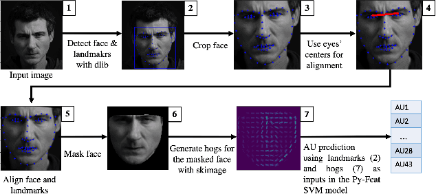 Figure 2 for Interpretable Explainability in Facial Emotion Recognition and Gamification for Data Collection