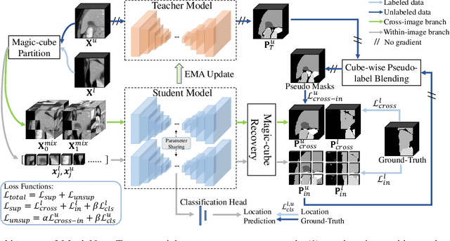 Figure 3 for MagicNet: Semi-Supervised Multi-Organ Segmentation via Magic-Cube Partition and Recovery