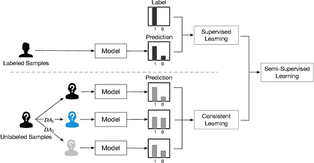 Figure 1 for Semi-Supervised Heterogeneous Graph Learning with Multi-level Data Augmentation