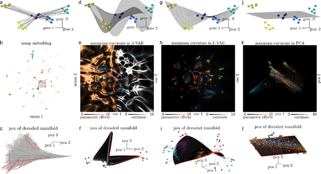 Figure 1 for $Γ$-VAE: Curvature regularized variational autoencoders for uncovering emergent low dimensional geometric structure in high dimensional data