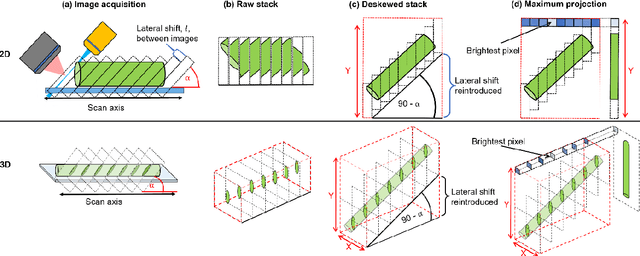 Figure 2 for An open-source software package for on-the-fly deskewing and live viewing of volumetric lightsheet microscopy data