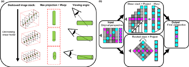 Figure 3 for An open-source software package for on-the-fly deskewing and live viewing of volumetric lightsheet microscopy data