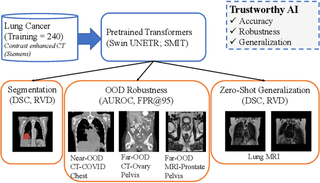 Figure 1 for Trustworthiness of Pretrained Transformers for Lung Cancer Segmentation