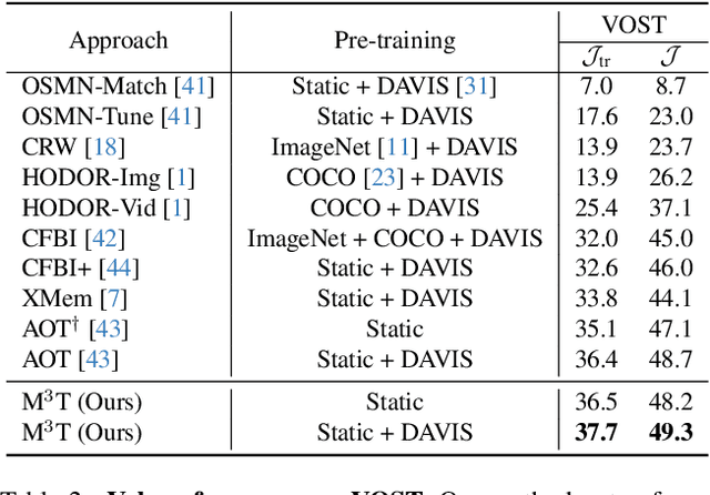 Figure 4 for M3T: Multi-Scale Memory Matching for Video Object Segmentation and Tracking