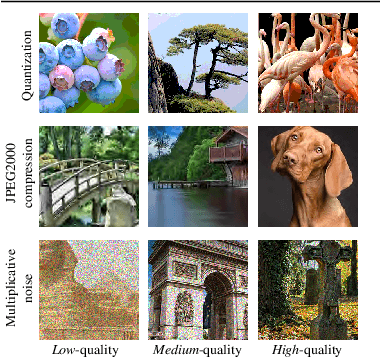 Figure 1 for Content-Diverse Comparisons improve IQA