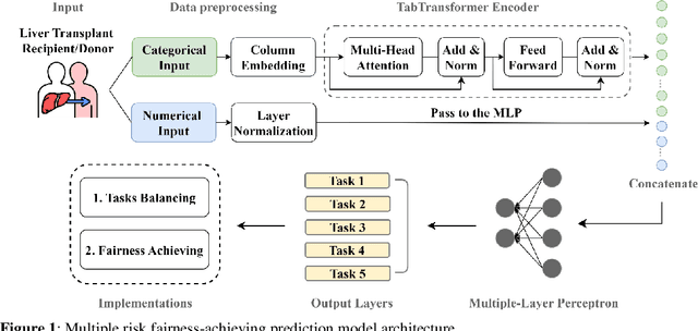 Figure 1 for A Transformer-Based Deep Learning Approach for Fairly Predicting Post-Liver Transplant Risk Factors