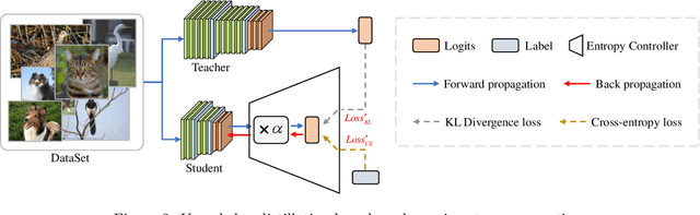 Figure 3 for DynamicKD: An Effective Knowledge Distillation via Dynamic Entropy Correction-Based Distillation for Gap Optimizing