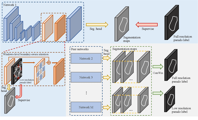 Figure 2 for Compete to Win: Enhancing Pseudo Labels for Barely-supervised Medical Image Segmentation