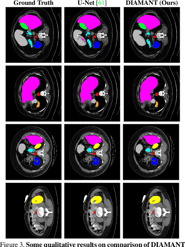 Figure 4 for DIAMANT: Dual Image-Attention Map Encoders For Medical Image Segmentation