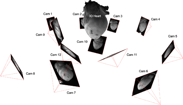 Figure 2 for Panoramic Voltage-Sensitive Optical Mapping of Contracting Hearts using Cooperative Multi-View Motion Tracking with 12 to 24 Cameras
