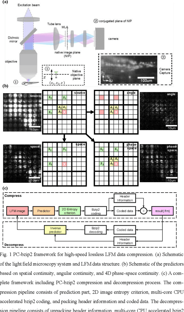 Figure 1 for PC-bzip2: a phase-space continuity enhanced lossless compression algorithm for light field microscopy data