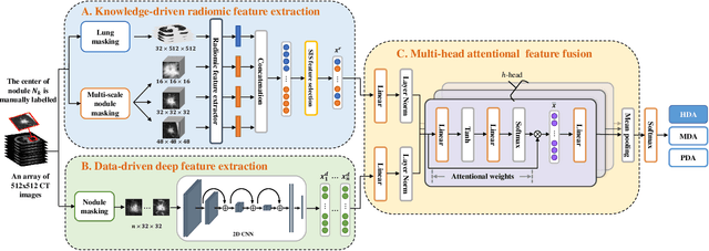 Figure 2 for Adaptive Fusion of Radiomics and Deep Features for Lung Adenocarcinoma Subtype Recognition