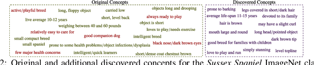 Figure 4 for Hierarchical Concept Discovery Models: A Concept Pyramid Scheme