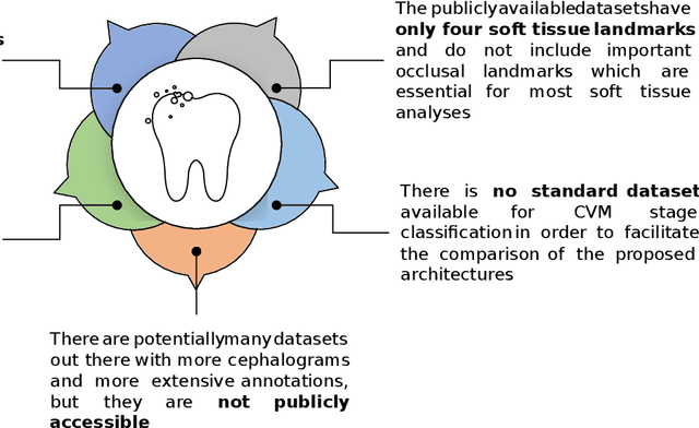 Figure 1 for 'Aariz: A Benchmark Dataset for Automatic Cephalometric Landmark Detection and CVM Stage Classification