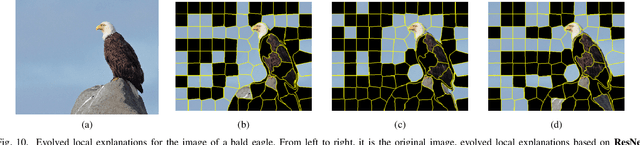 Figure 2 for Explaining Deep Convolutional Neural Networks for Image Classification by Evolving Local Interpretable Model-agnostic Explanations