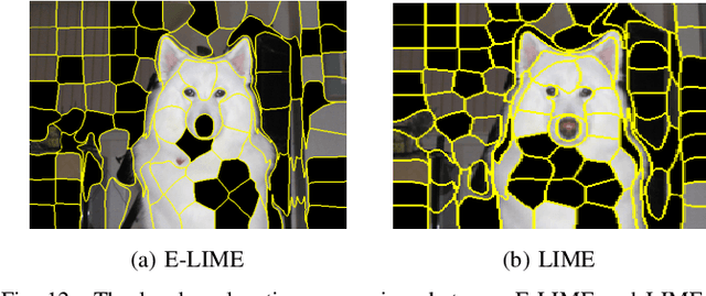 Figure 4 for Explaining Deep Convolutional Neural Networks for Image Classification by Evolving Local Interpretable Model-agnostic Explanations