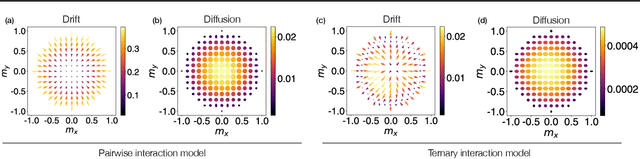 Figure 4 for Discovering mesoscopic descriptions of collective movement with neural stochastic modelling