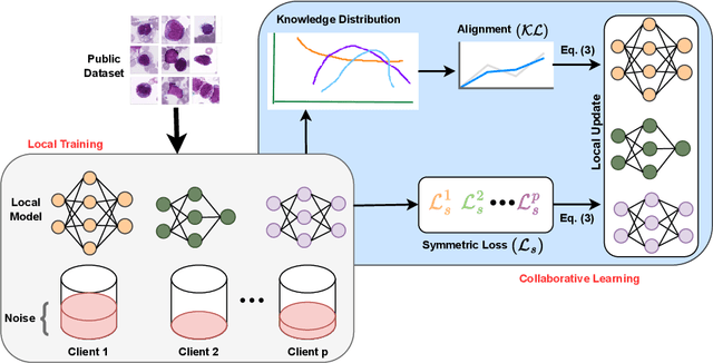 Figure 3 for Federated Learning for Data and Model Heterogeneity in Medical Imaging