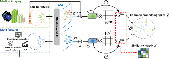 Figure 1 for Parkinson Disease classification Using Contrastive Graph Cross-View Learning with Multimodal Fusion of SPECT Images and Clinical Features