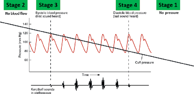 Figure 3 for A Survey on Blood Pressure Measurement Technologies: Addressing Potential Sources of Bias