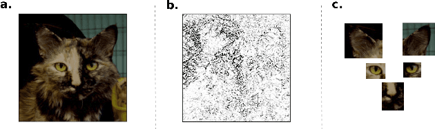 Figure 1 for Unsupervised discovery of Interpretable Visual Concepts