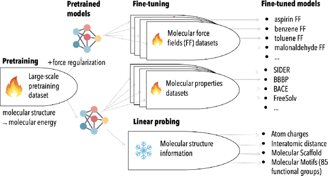 Figure 1 for Supervised Pretraining for Molecular Force Fields and Properties Prediction