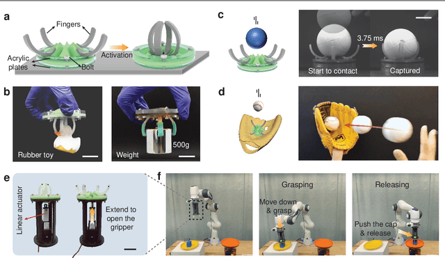 Figure 2 for Ultra-fast, programmable, and electronics-free soft robots enabled by snapping metacaps