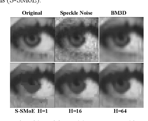 Figure 3 for Steered Mixture of Experts Regression for Image Denoising with Multi-Model-Inference
