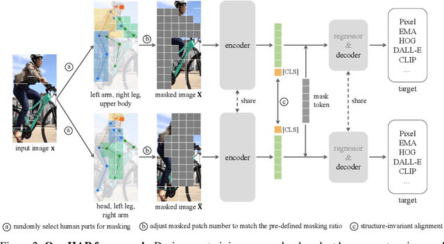 Figure 3 for HAP: Structure-Aware Masked Image Modeling for Human-Centric Perception