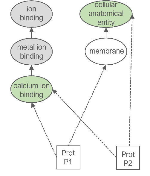 Figure 2 for Explainable Representations for Relation Prediction in Knowledge Graphs