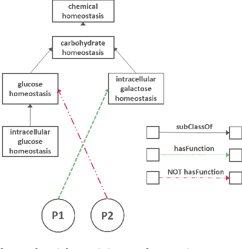 Figure 1 for Benchmark datasets for biomedical knowledge graphs with negative statements